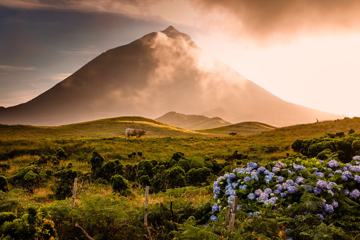 PTR_Azores-©-AdobeStock_71541550.jpg