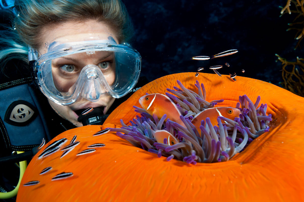 AUS_Diver-Anemone-©-Spirit-of-Freedom.jpg
