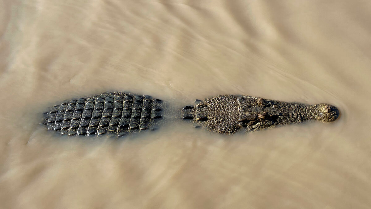 AUS_Adelaide-River-Jumping-Crocodiles-©21-Thomas-Baechtold-002.jpg