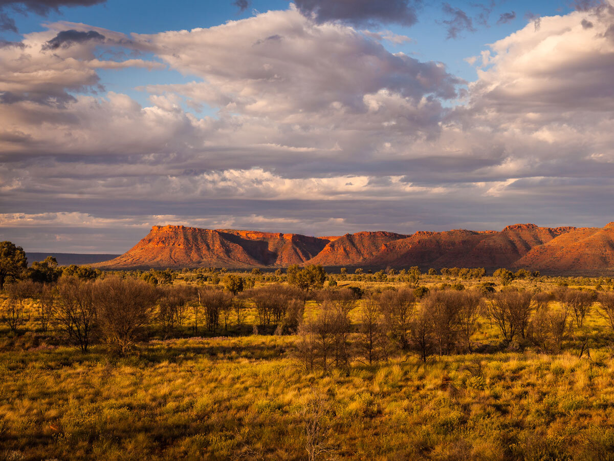 AUS_Kings-Canyon-©-AdobeStock_230087568.jpg