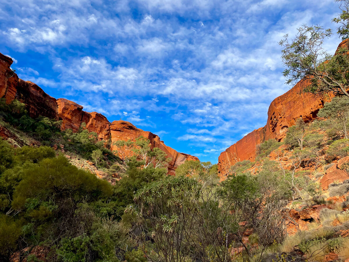 AUS_Kings-Canyon-©21-Thomas-Baechtold-011.jpg