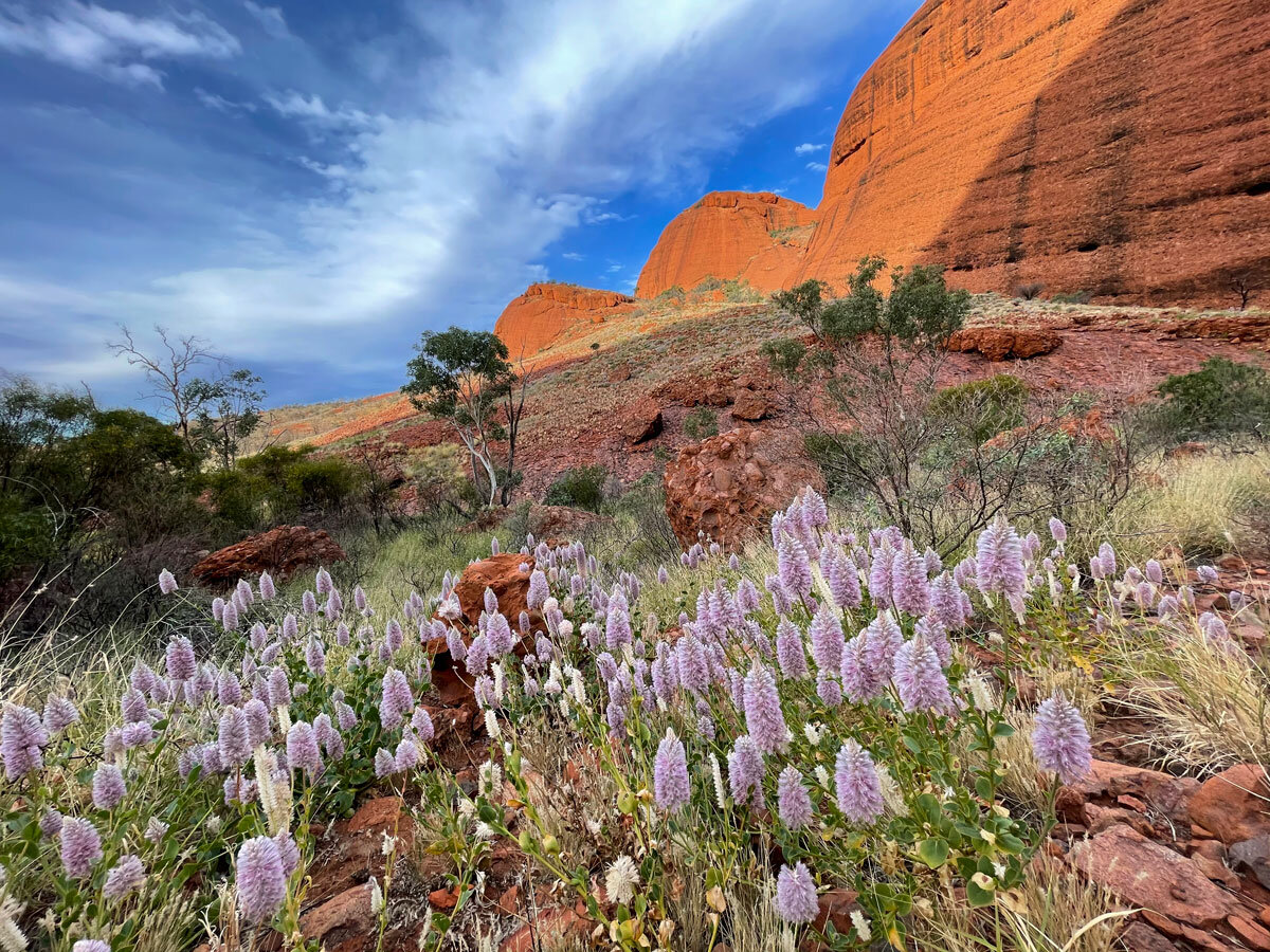 AUS_Uluru-NP-Kata-Tjuta-The-Olgas-©21-Thomas-Baechtold-026.jpg