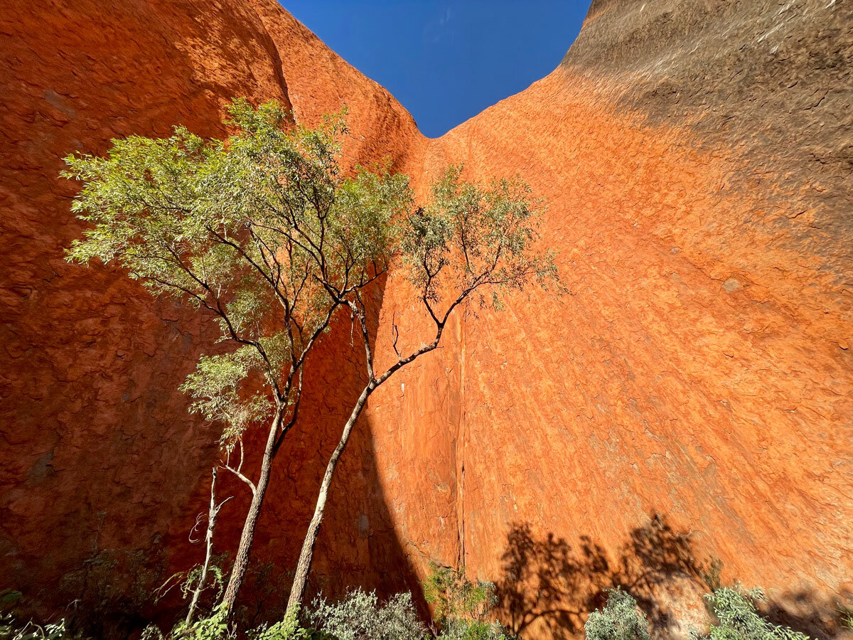 AUS_Uluru-NP-Uluru-©21-Natalia-Baechtold-444.jpg