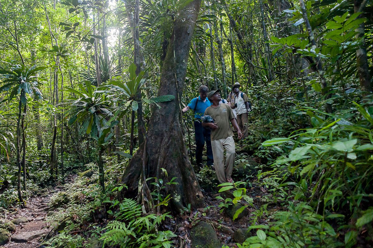 2022 Madagascar — Wild Earth Expeditions