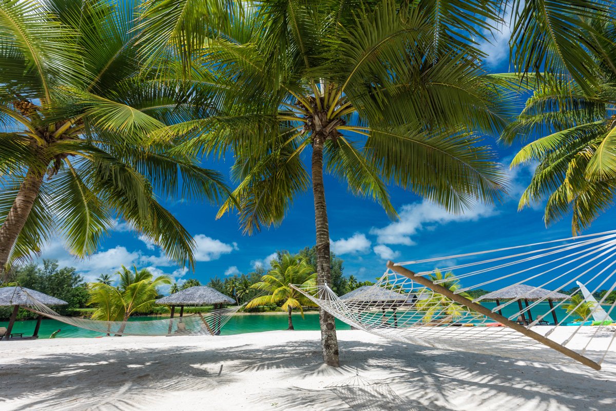 SLB_Solomon-Islands-Palms-©-AdobeStock_274386673.jpg
