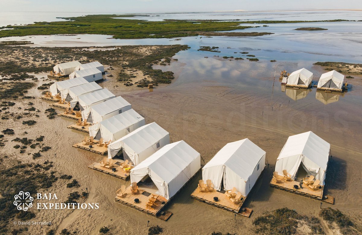 MEX_San-Ignacio-Luxury-Camp-DJI0567-©-David-Serradell.jpg