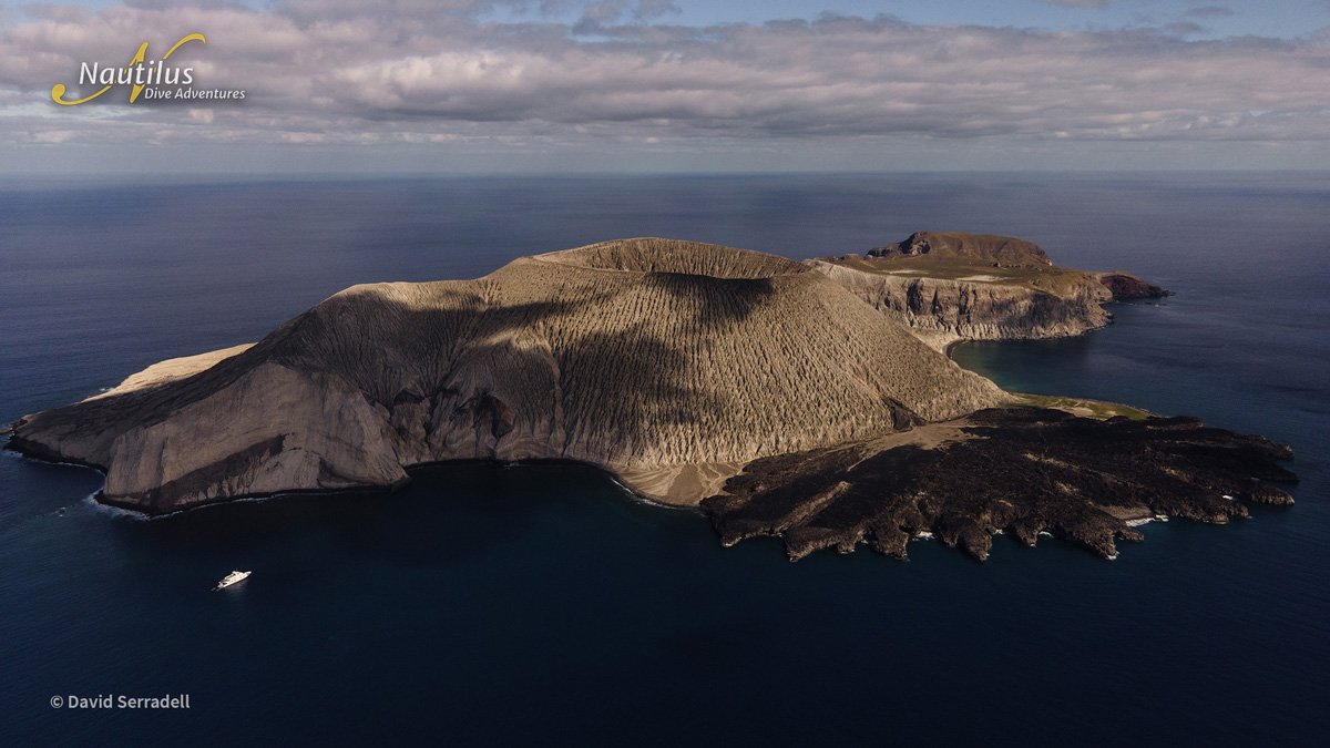 MEX_Socorro-Island-©-David-Serradell.jpg