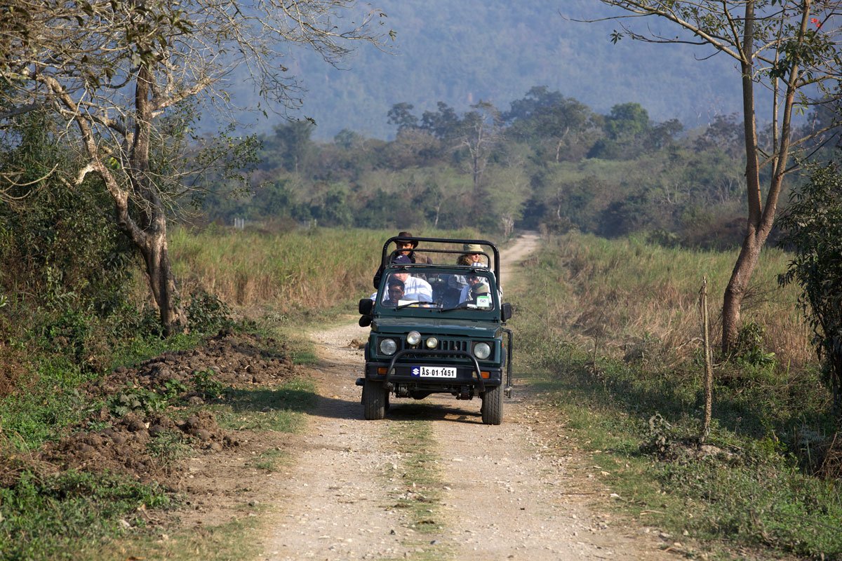 IND_Kaziranga-National-Park-©14-Thomas-Baechtold-2326.jpg