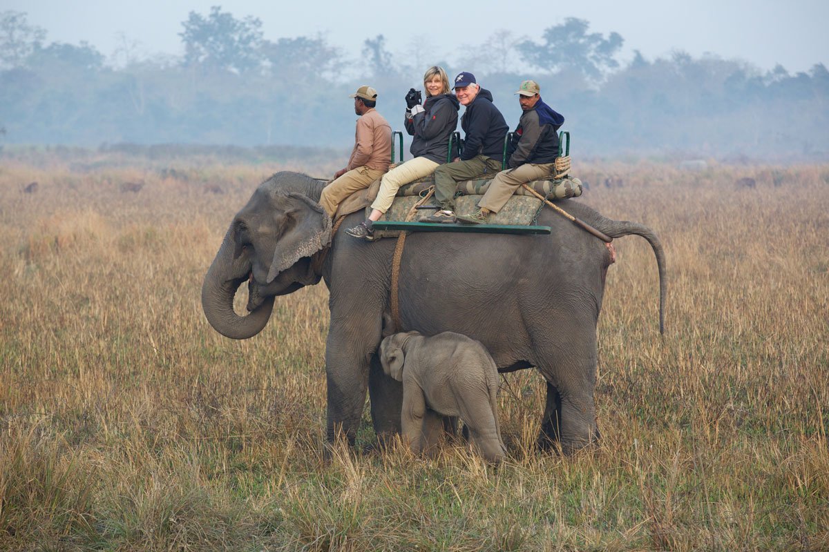 IND_Kaziranga-National-Park-©14-Thomas-Baechtold-2443.jpg