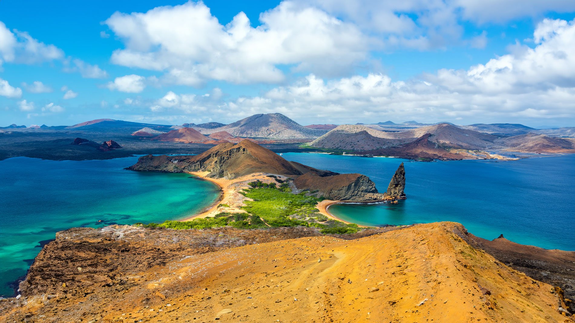 2025 Galapagos — Wild Earth Expeditions