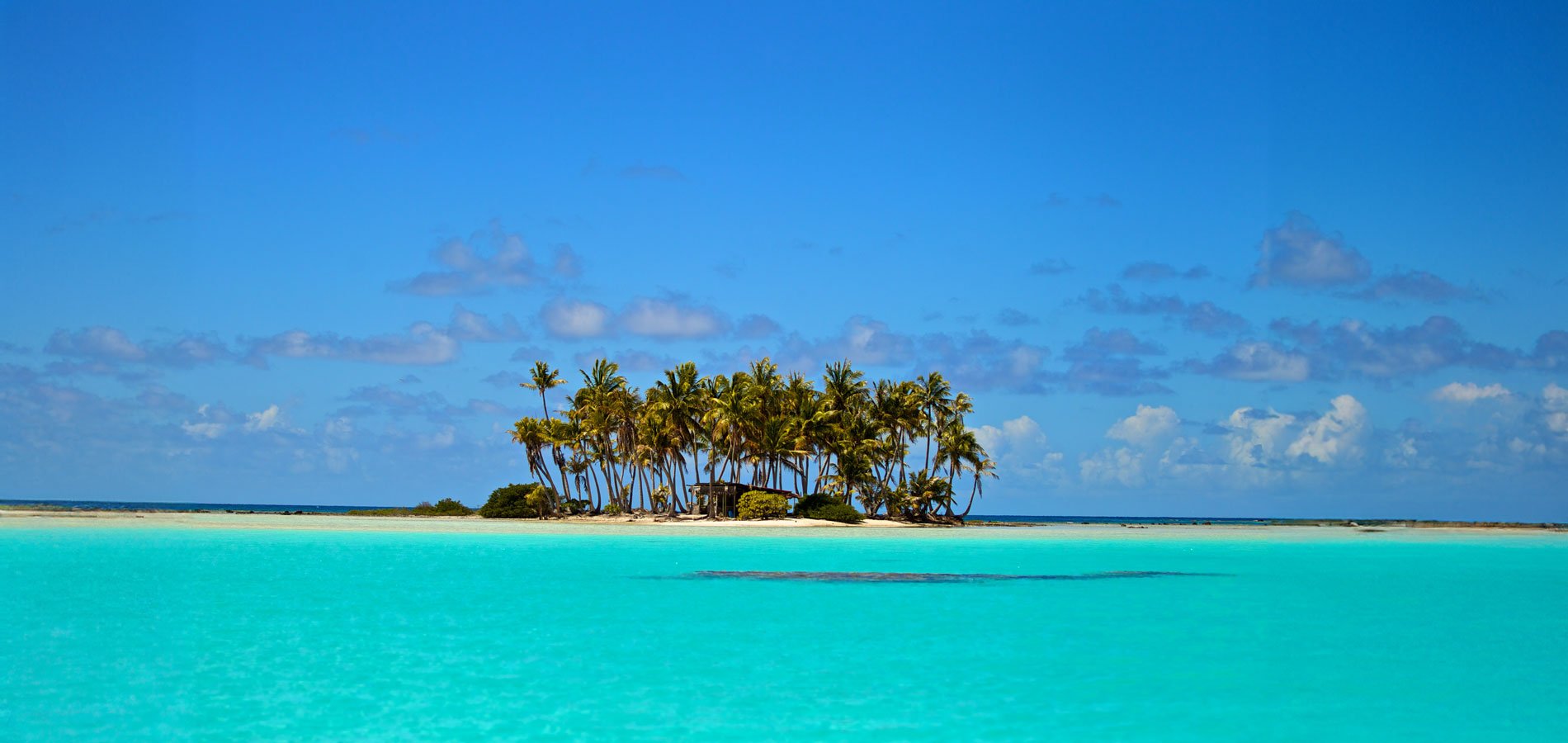 PYF_Rangiroa-©-Kia-Ora-1_1900.jpg