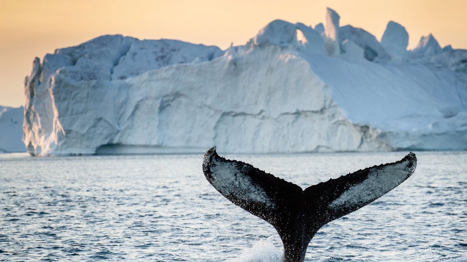 26ICE_Iceland-©-Arctic-Adventures_web13.jpg
