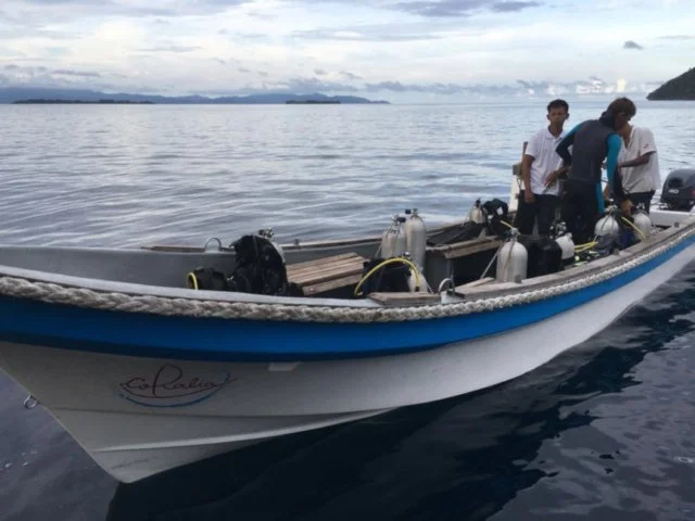 Coralia-Liveaboard-Dive-Tender-1024x682-640x480_c.jpg