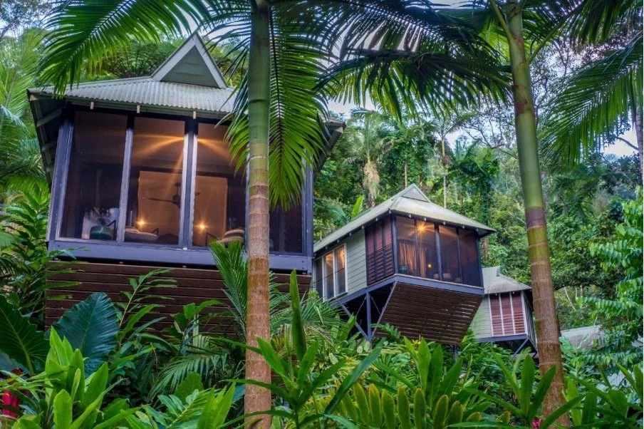 AUS © Daintree Eco Lodge©Rooms2.jpg