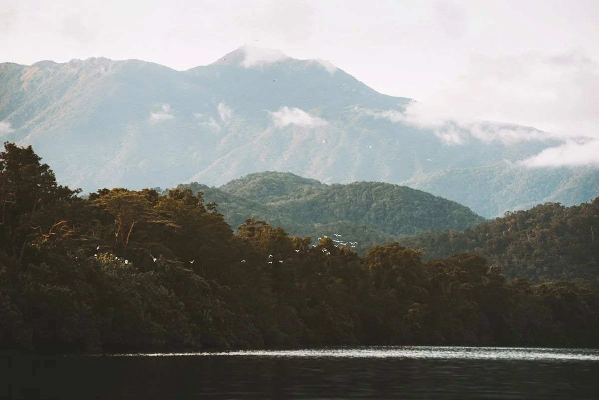 AUS-©-Daintree-Eco-Lodge_JamesVodicka-30-_1200.jpg