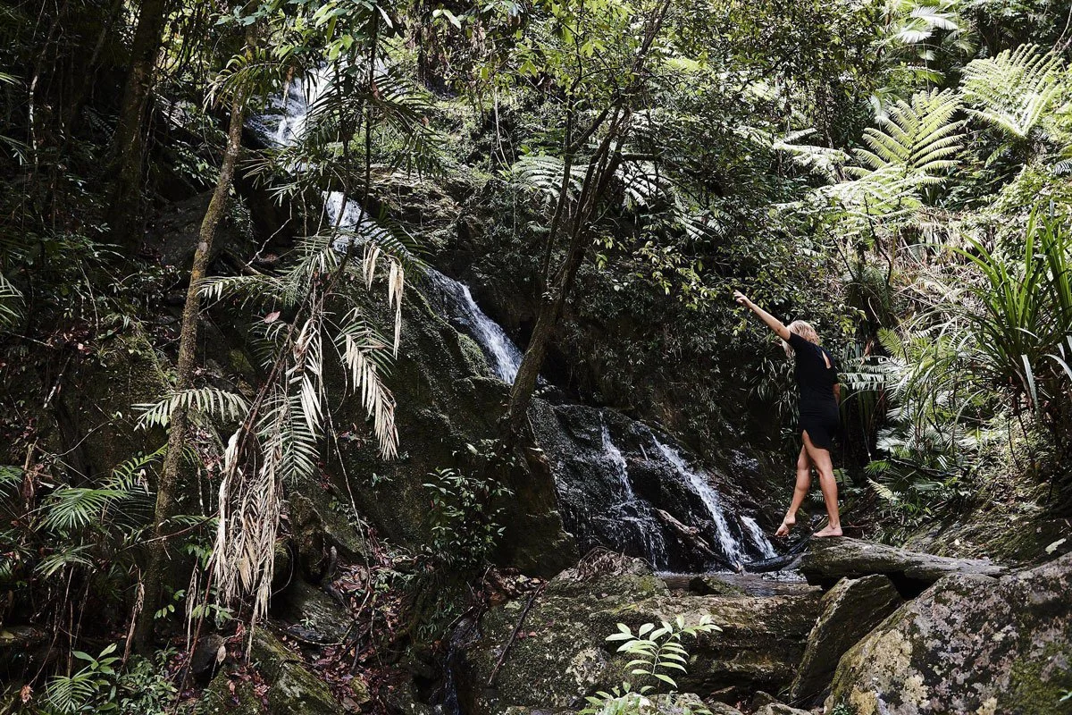 AUS-©-Daintree-Eco-Lodge_Simon-Shiff_0-147_SMALL-WEB-JPEG-72DPI-sRGB_1200.jpg