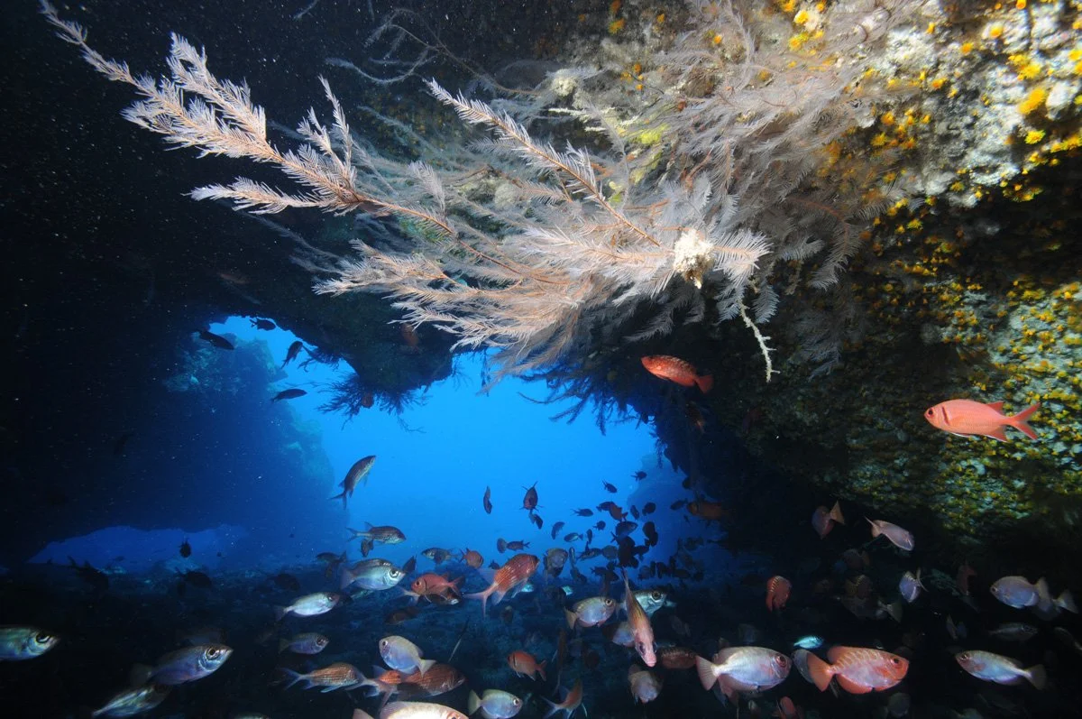 27SAINTHELENA © Mantis Hotel_17.jpg