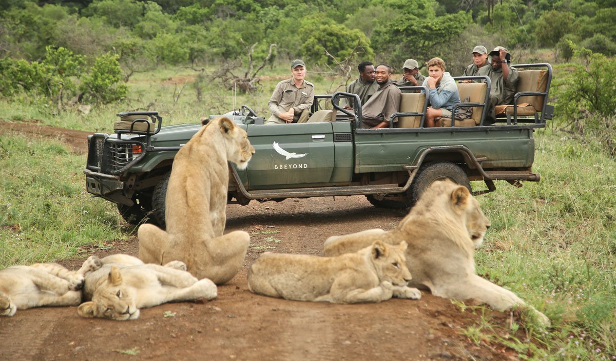South-Africa-Phinda-Experiences-Game-Drive-viewing-a-pride-of-lions-with-branded-vehicle-_5_-High-Resolution-Width=5000px.jpg