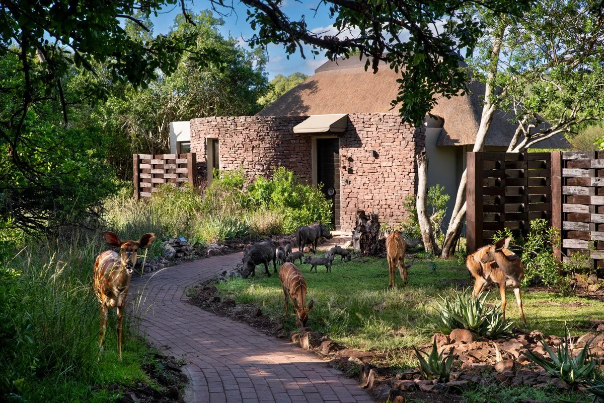 South-Africa-Phinda-Zuka-Lodge-suite-exterior-3-High-Resolution-Width=5000px.jpg