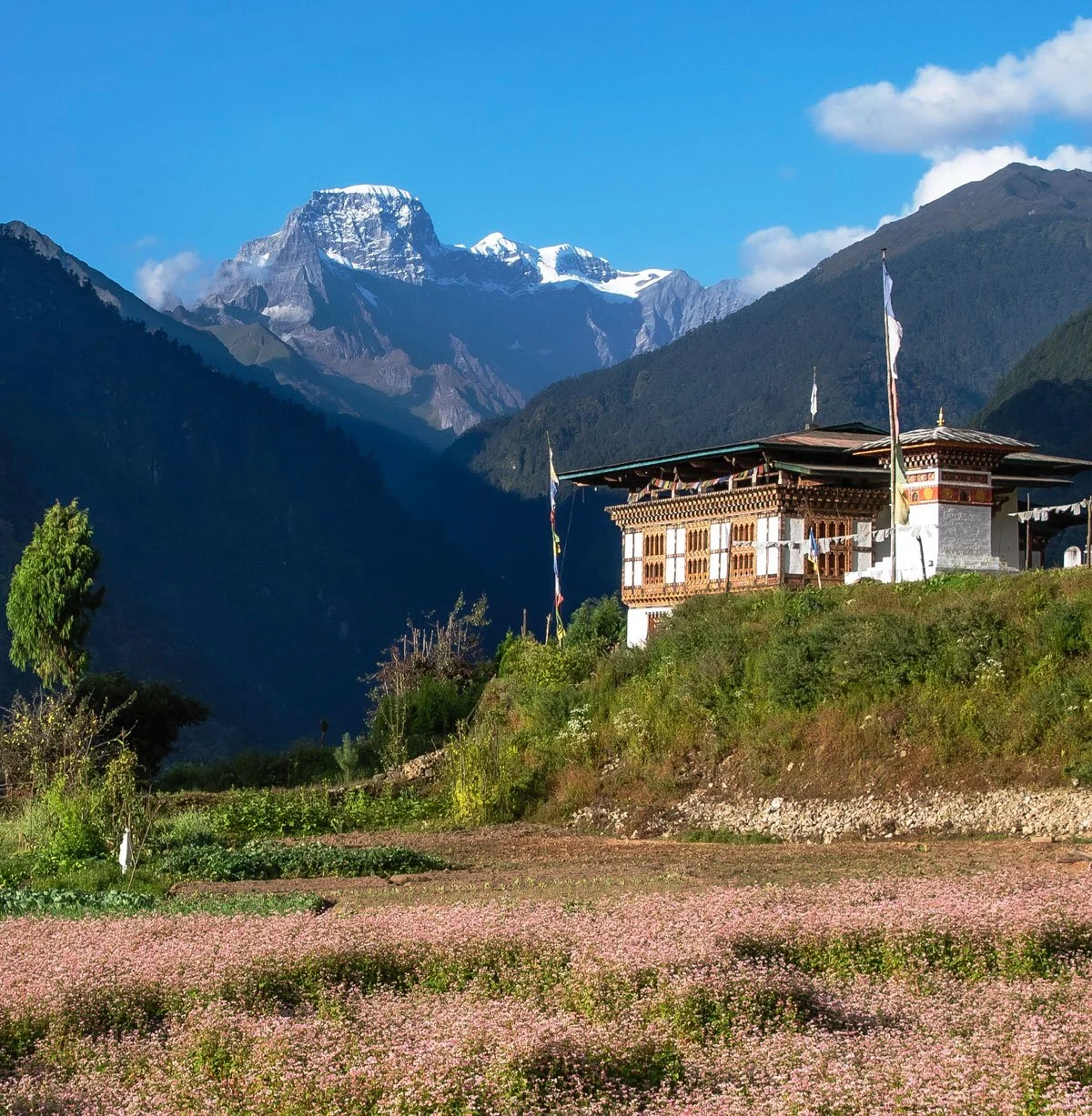 28HIMA_Bhutan © Windows of Bhutan_house-&-mountain_1200.jpg