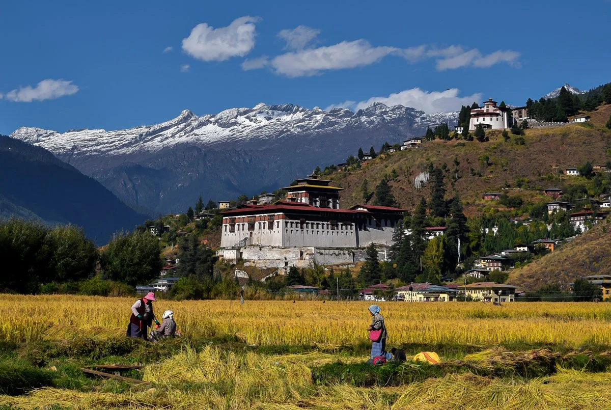 28HIMA_Bhutan © Windows of Bhutan_rice-paddy-&-Paro-dzong_1200.jpg