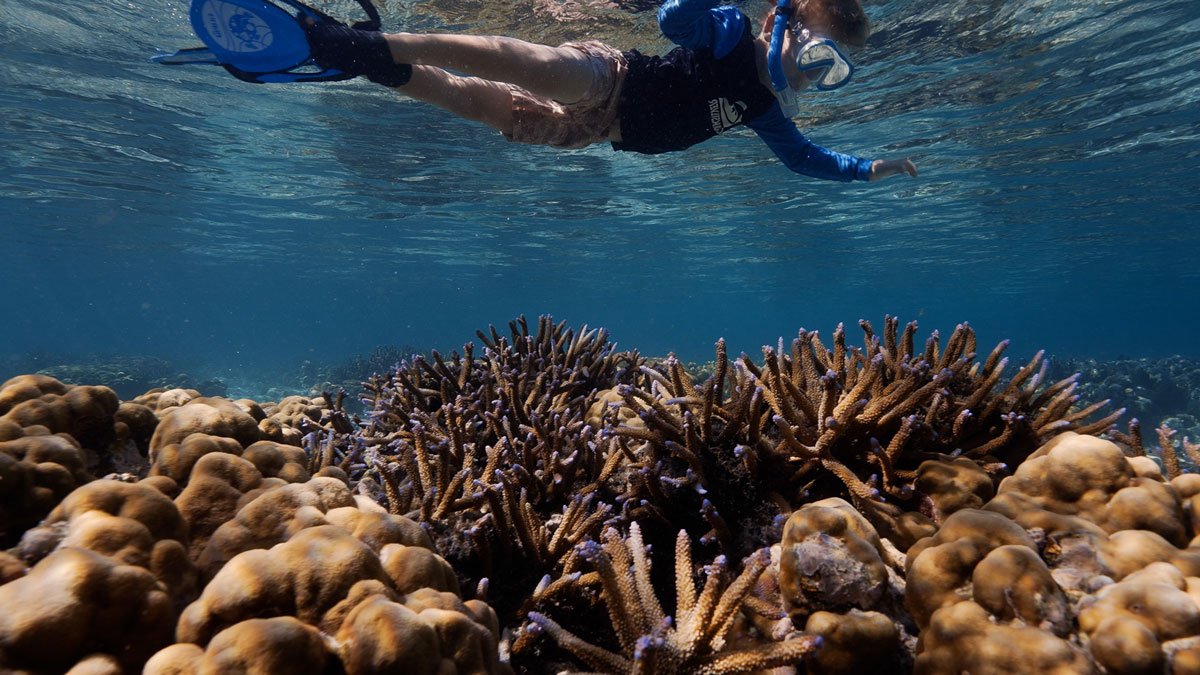 SOL_Solomon Islands © Uepi Resort_1200_10.jpg