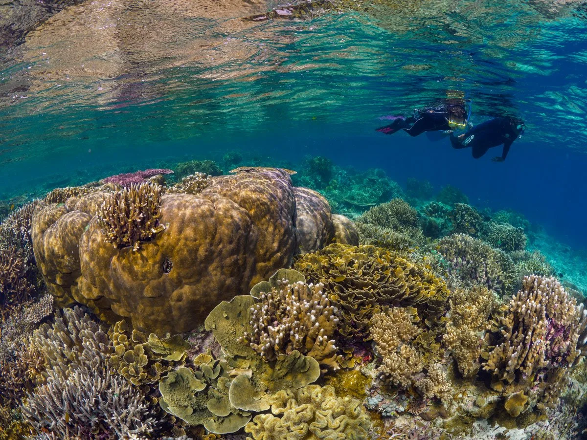 IDN_Kusu©Kusu-Resort_kir_AL_KusuIsland_Snorkeling1.jpg