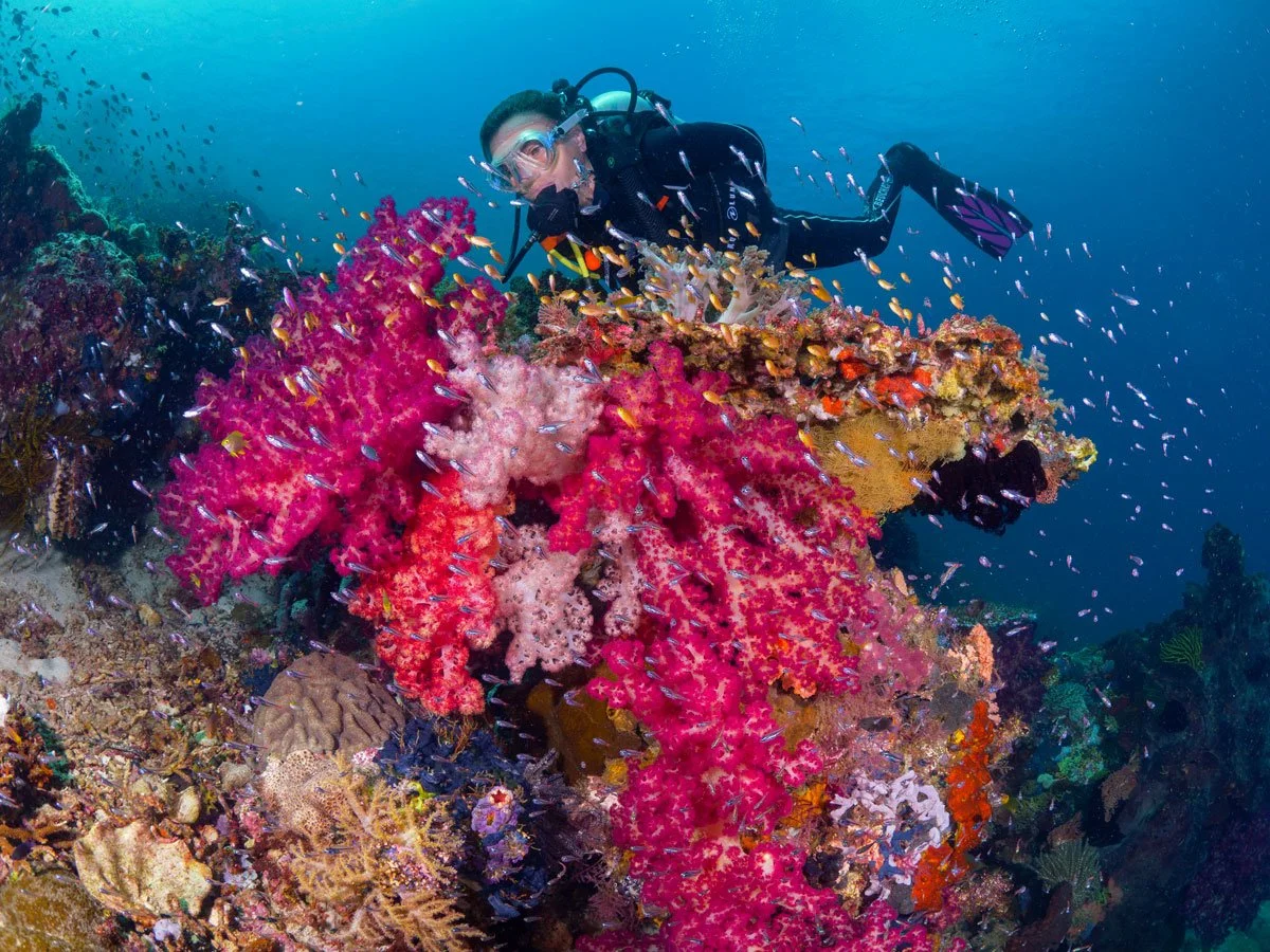 IDN_Kusu©Kusu-Resort_kir_AL_KusuIsland_Underwater4.jpg
