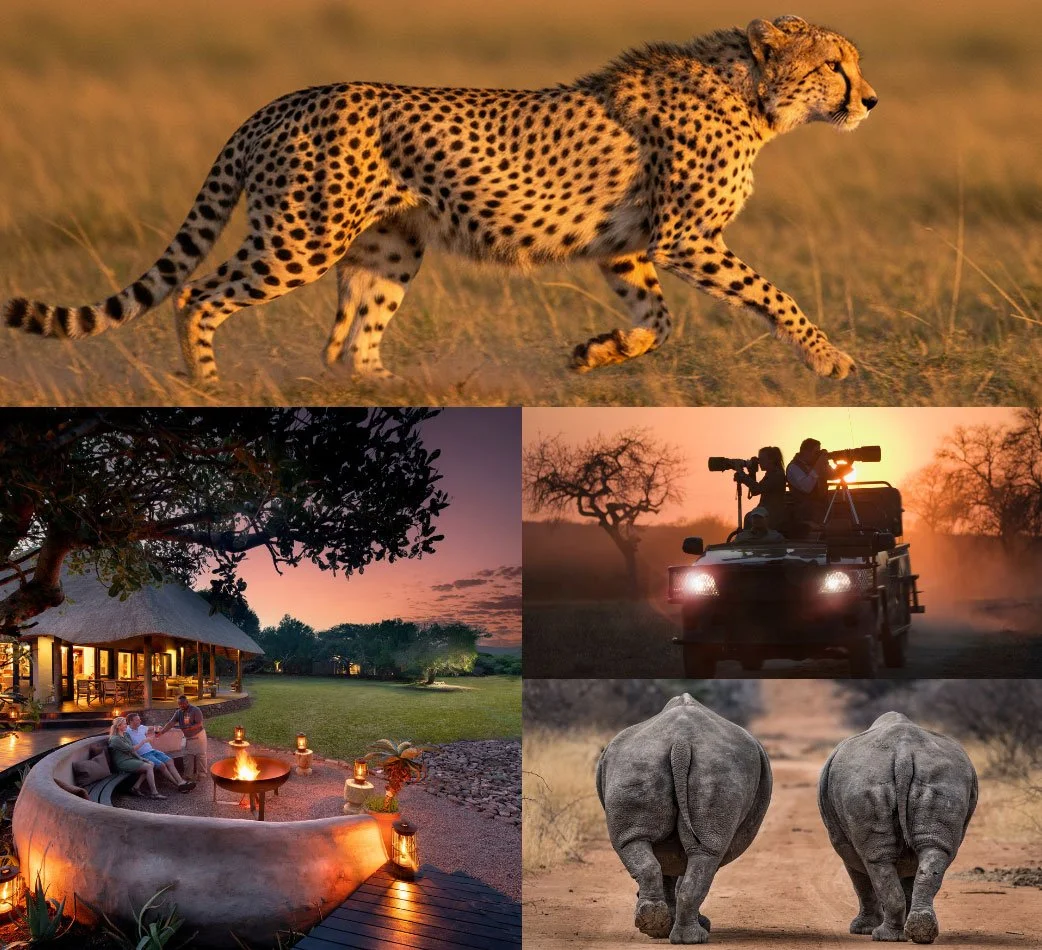 Wild Earth Expeditions wild-earth-expeditions