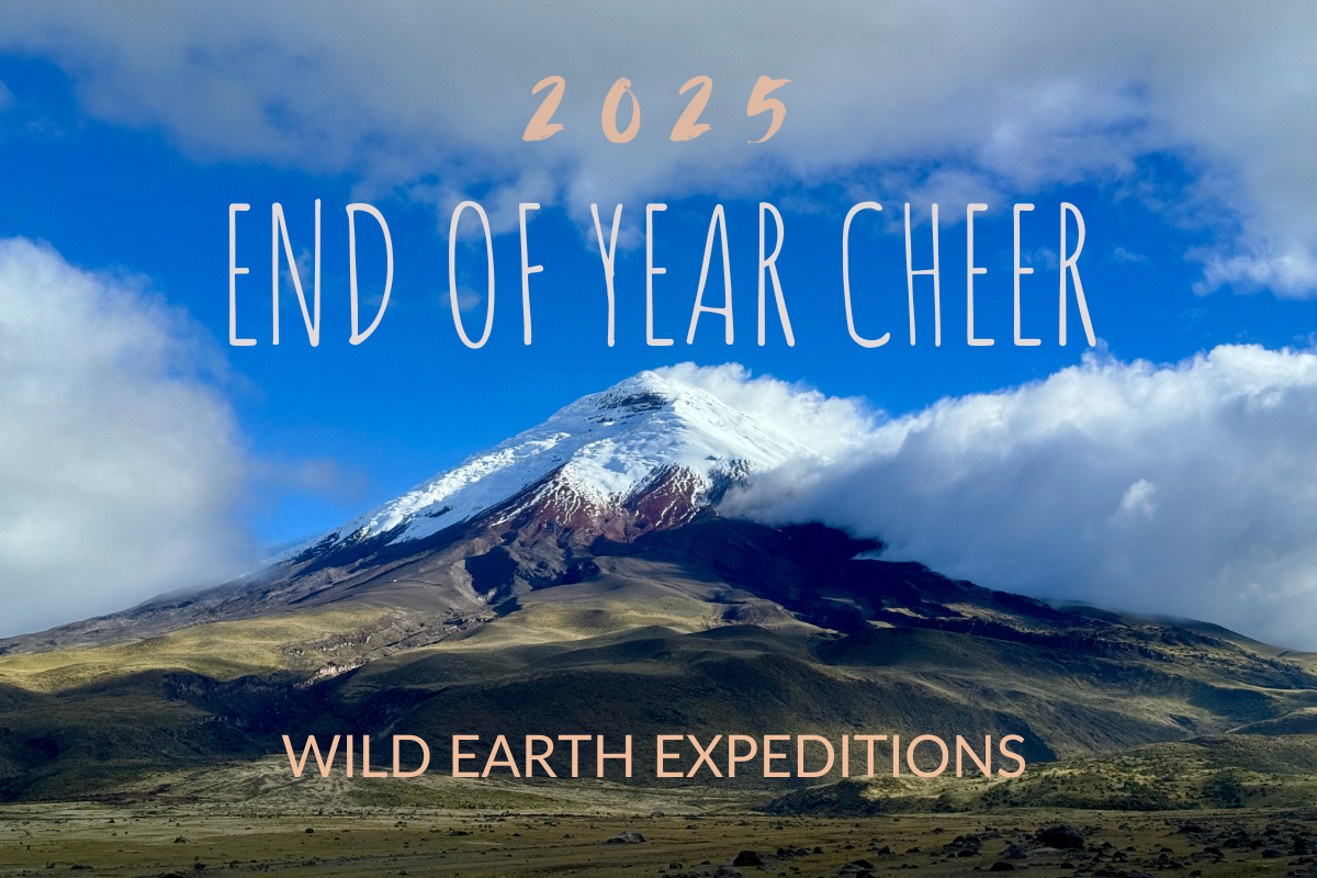 2024 End of Year Cheer