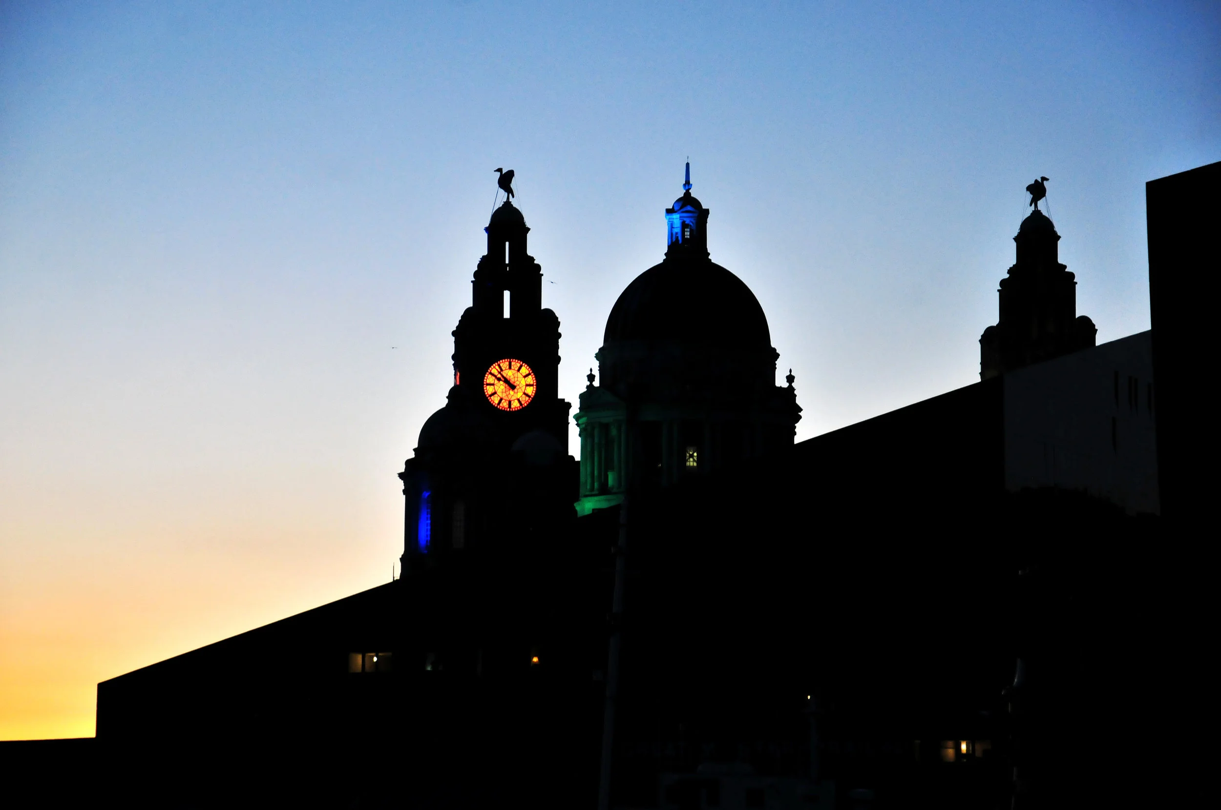Liver Building.jpg