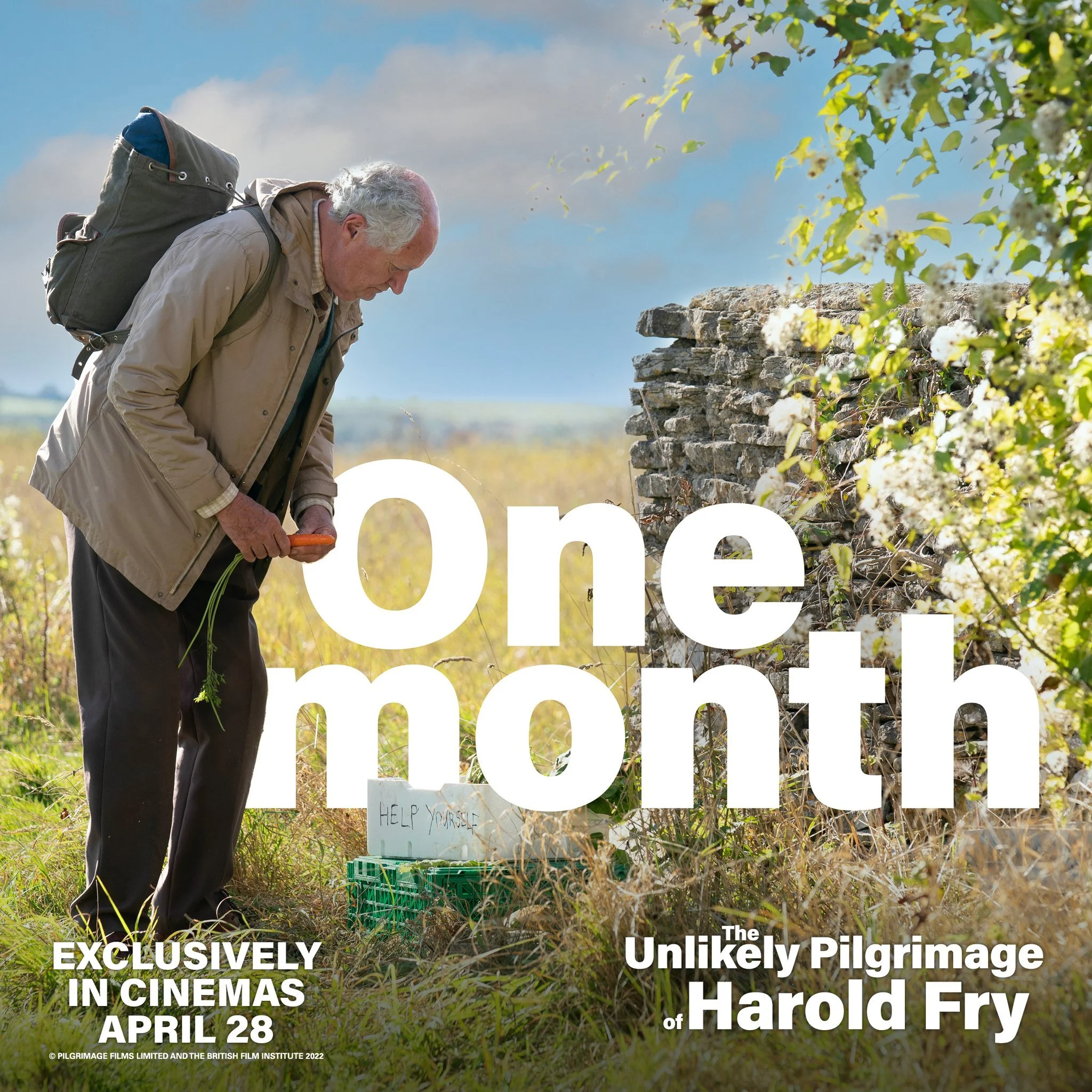 The Unlikely Pilgrimage of Harold Fry