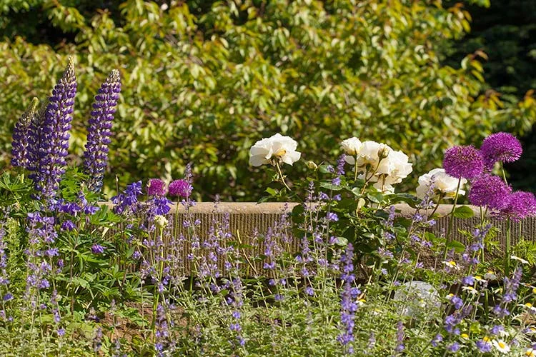 Gardening_43.jpg