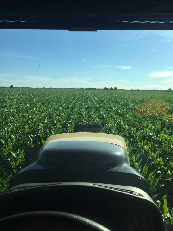  Applying late season Xtreme-N so some beautiful looking corn 