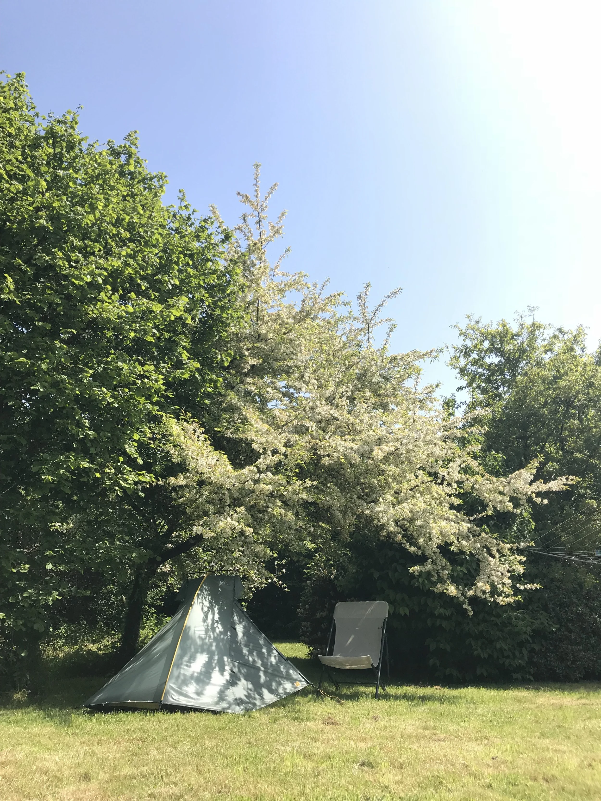 Yoga, Jazz, Camping!