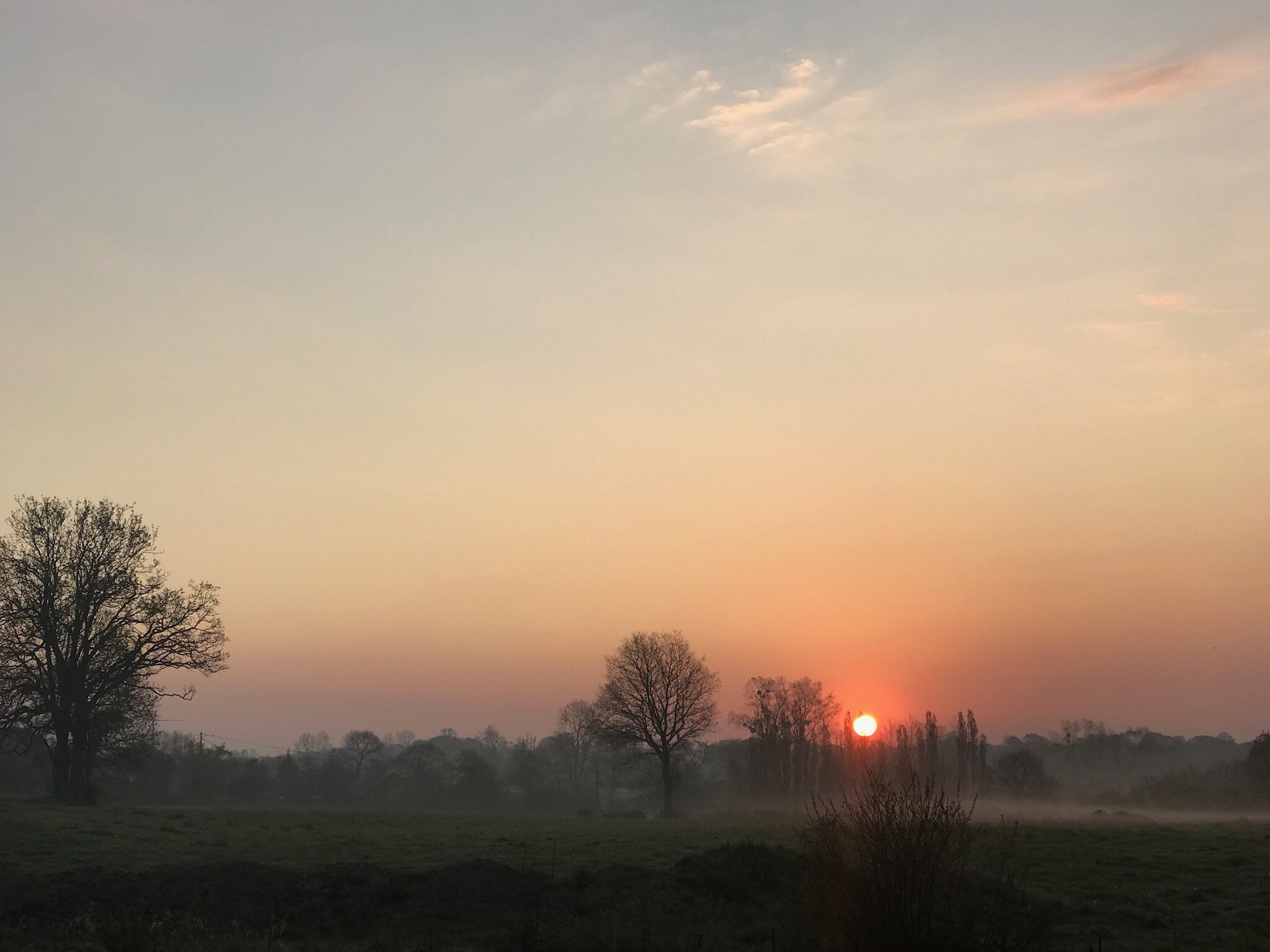 hayfield sunrise.JPG