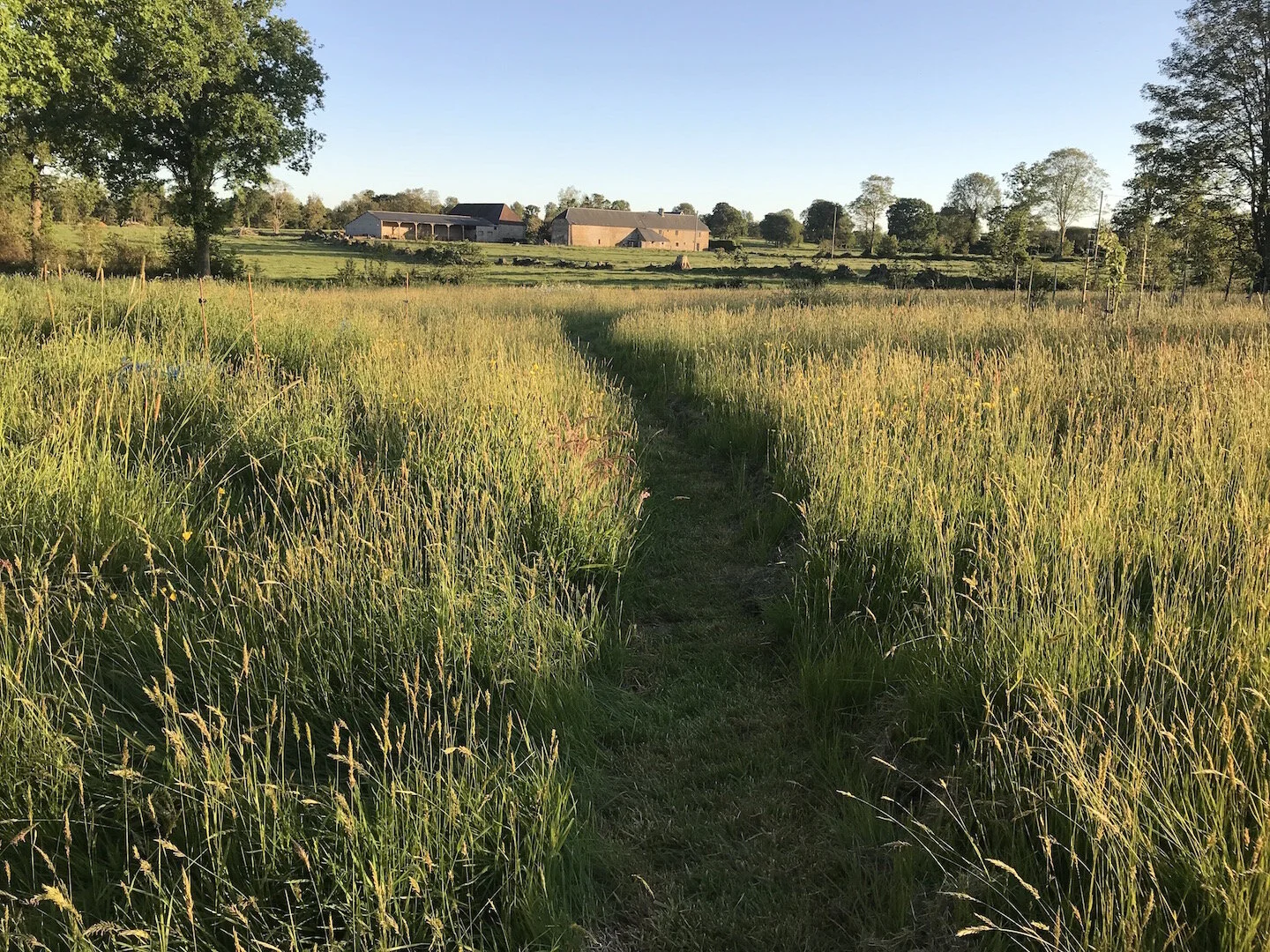 hayfield sunset.jpg