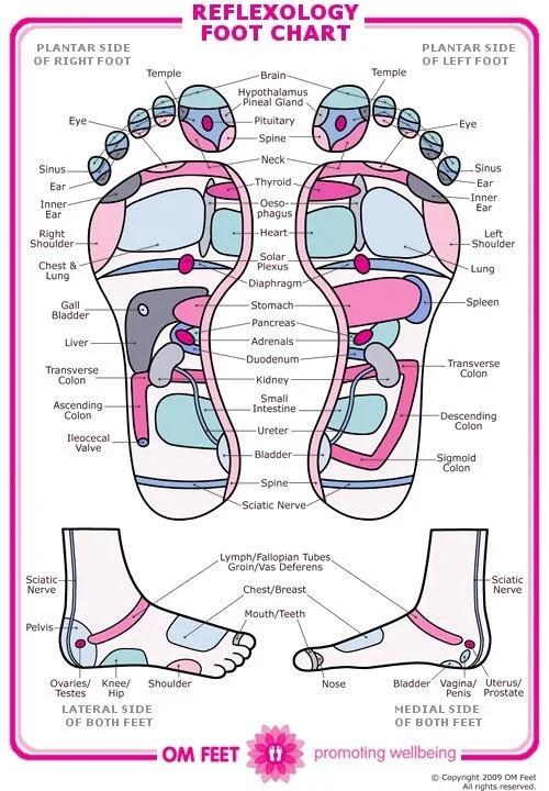 11+ Will Reflexology Bring On Labour Pics