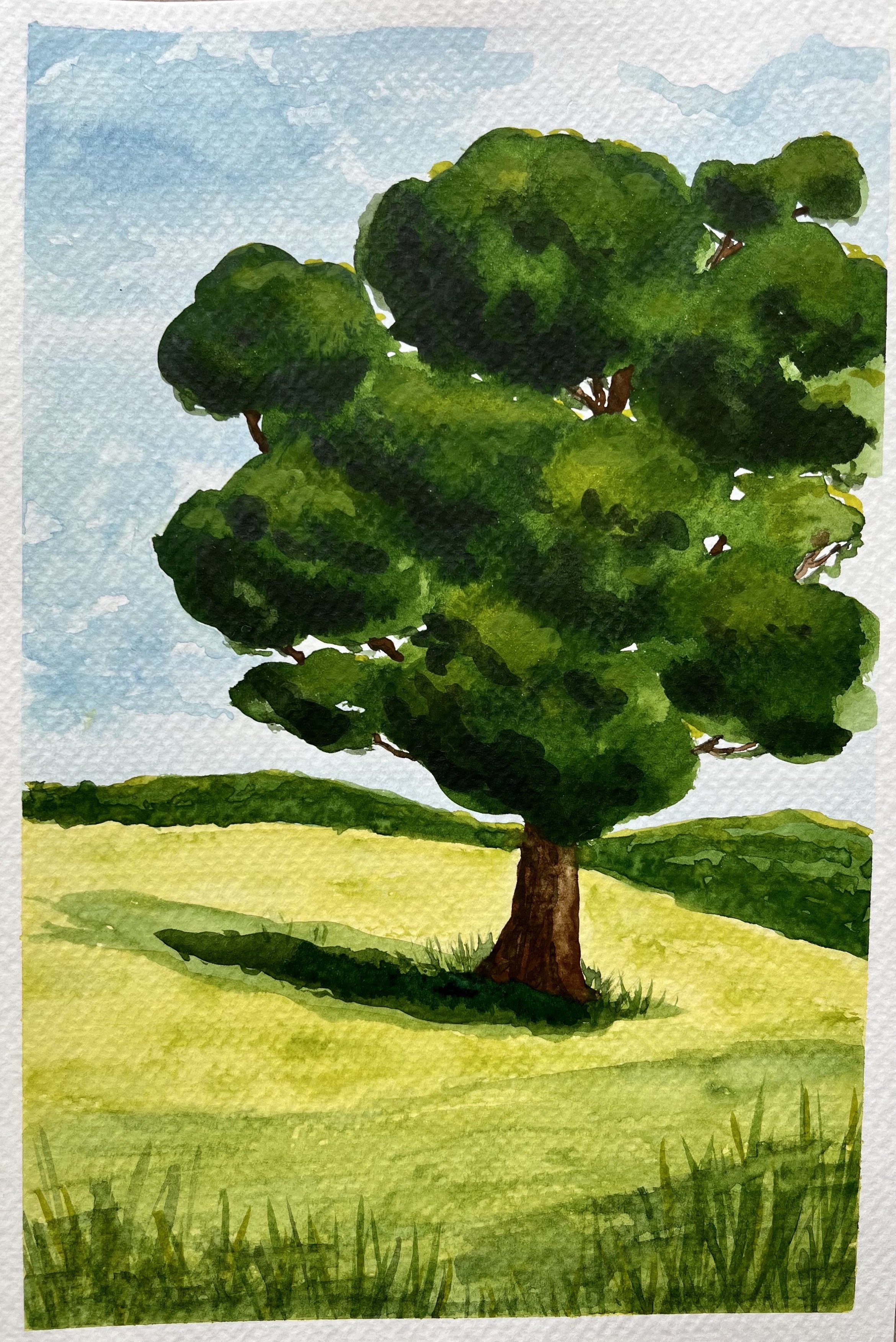 Intro to Watercolor: Paint a Landscape