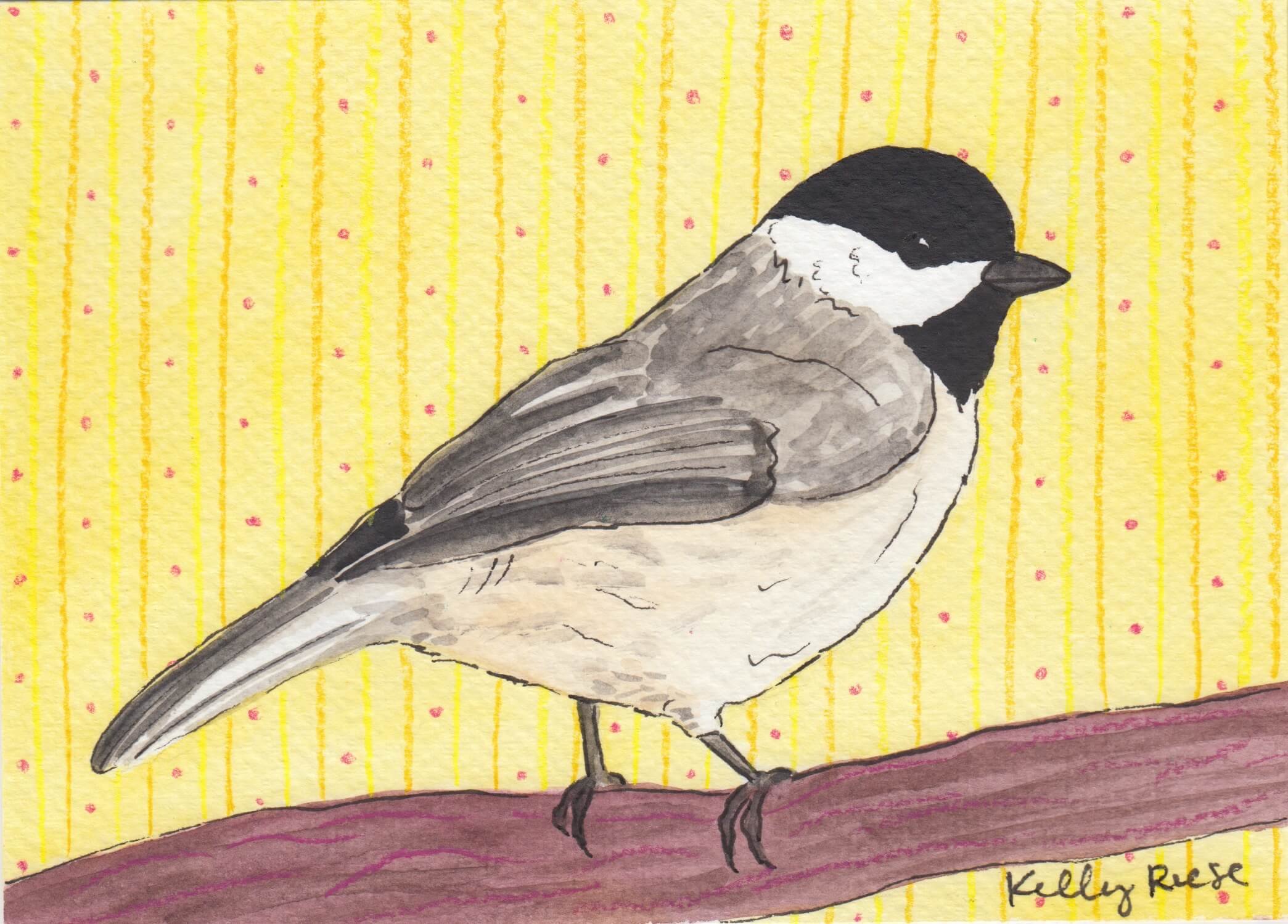 WallpaperBlackCappedChickadee.jpg