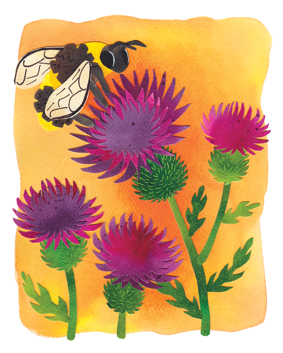 8x10WatercolorCollage_ThistleBee.png
