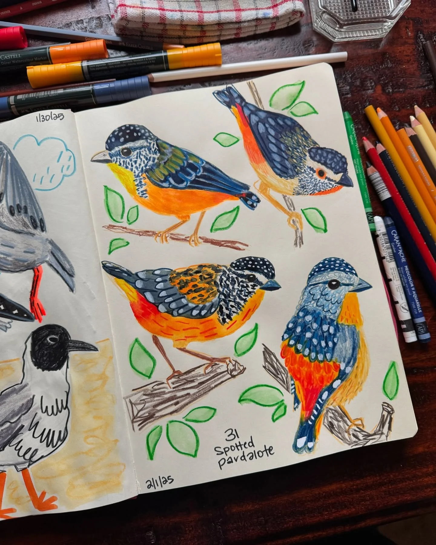 I participated in @birbfest.challenge throughout January and it was one of the most fun and transformative challenges I&rsquo;ve ever done 🦜 I fell in love with mixed media over the course of the month and my art practice has never felt more natural