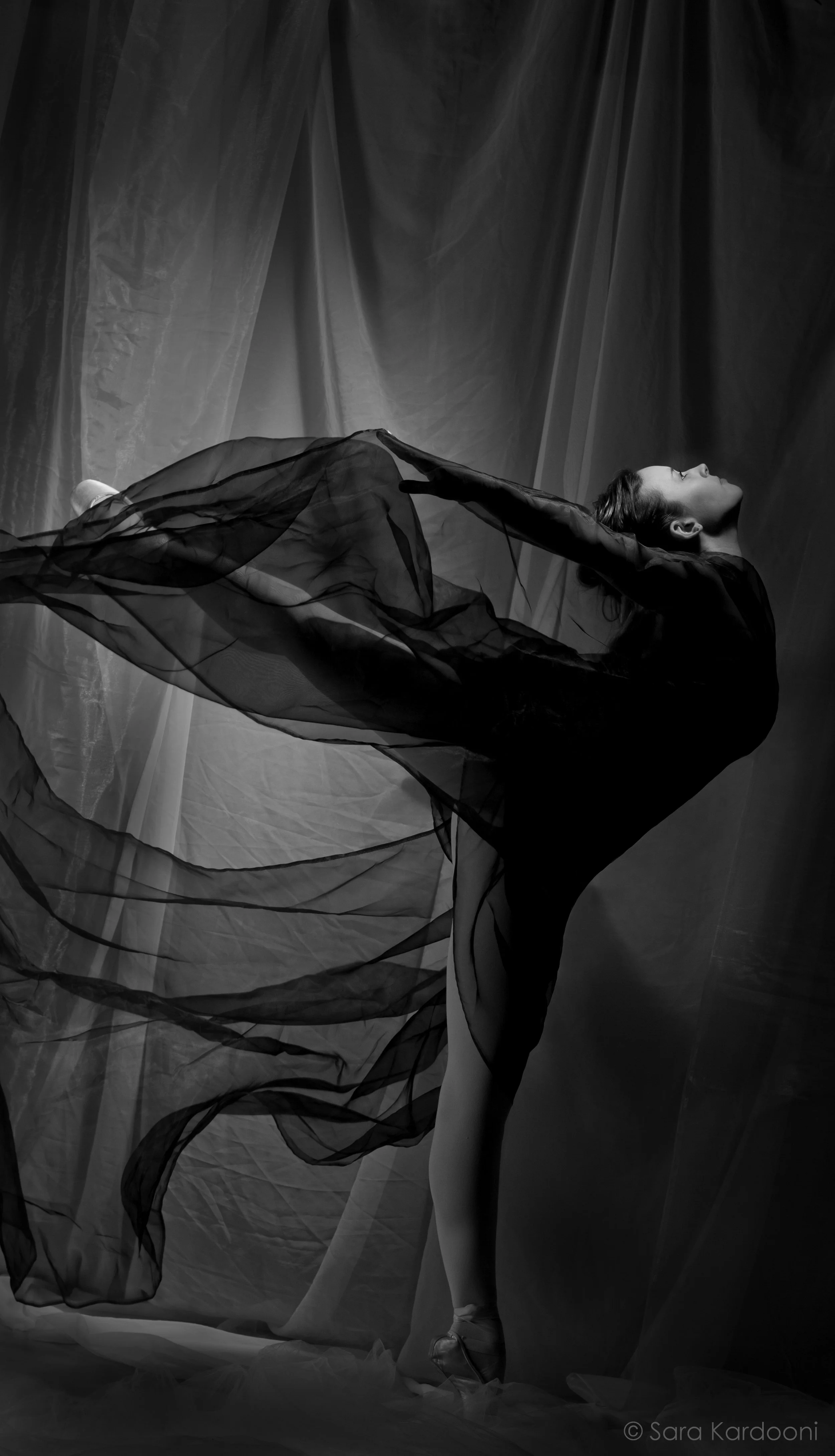 Sarah Hopkin Canada’s National Ballet School – Summer School Royal Winnipeg Ballet – Summer School ÉcoleSupérieure de Ballet du Québec – Summer School Ryerson University – Dance Program School of Toronto Dance Theatre – Summer Intensive ProArteDanza Summer Intensive Apprentice with Toronto Dance Theatre (photo: Sara Kardooni)
