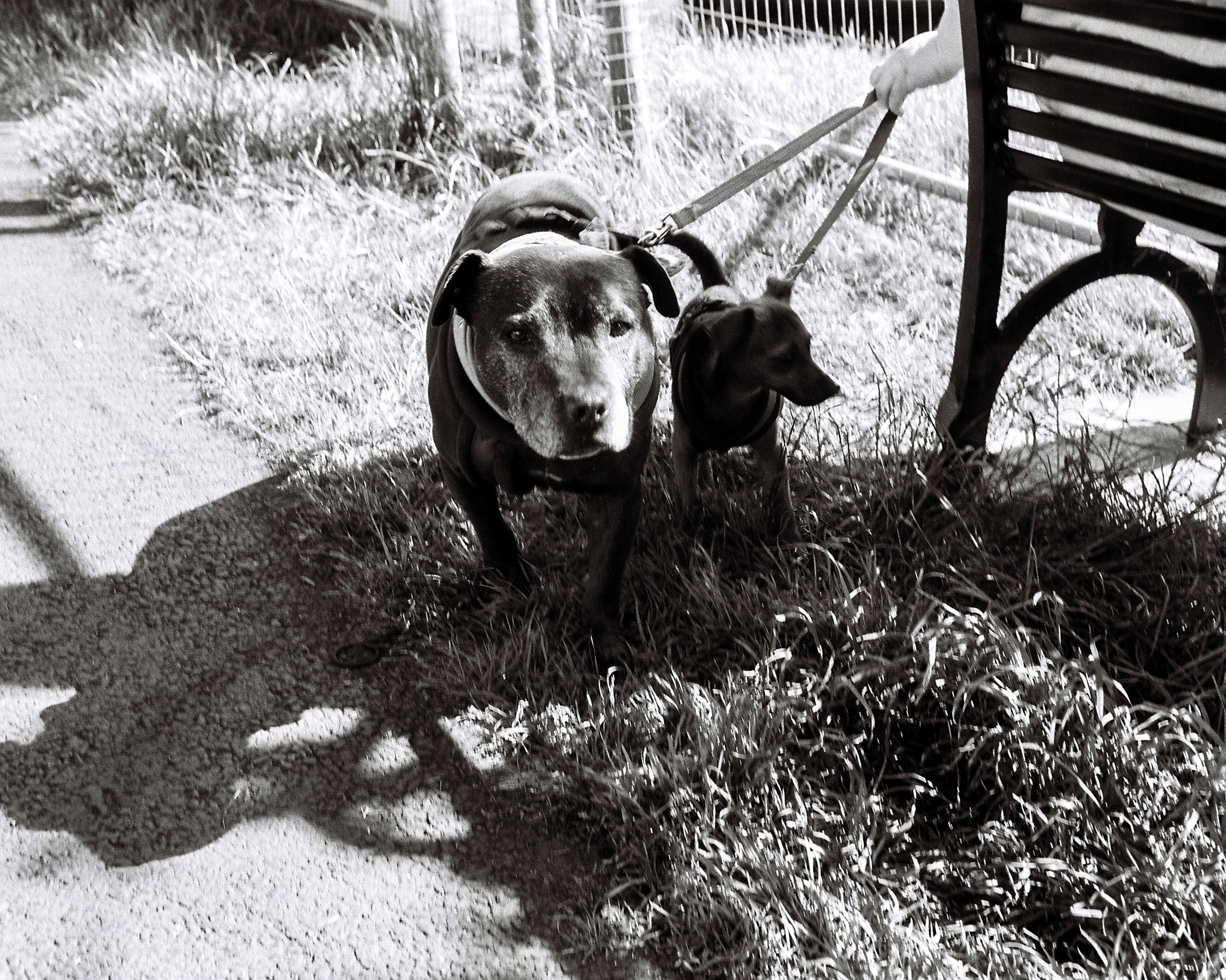 5456_002-0030.jpg