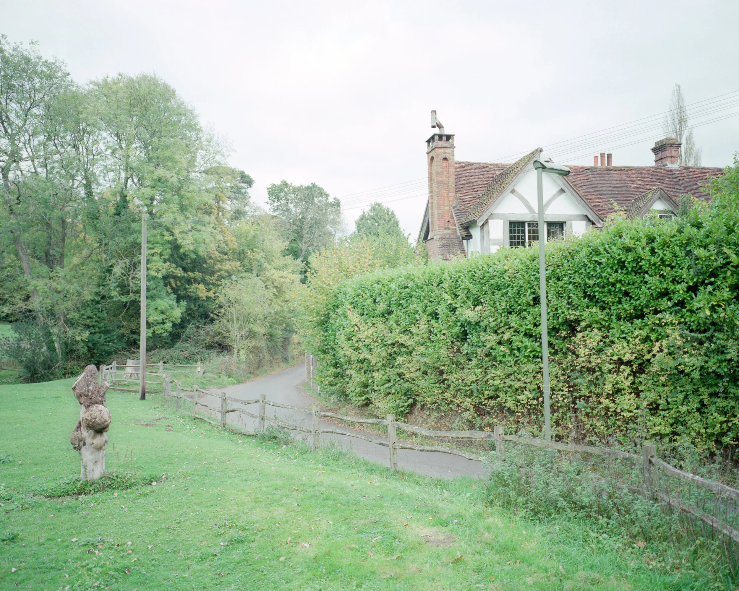SCN (8).jpg