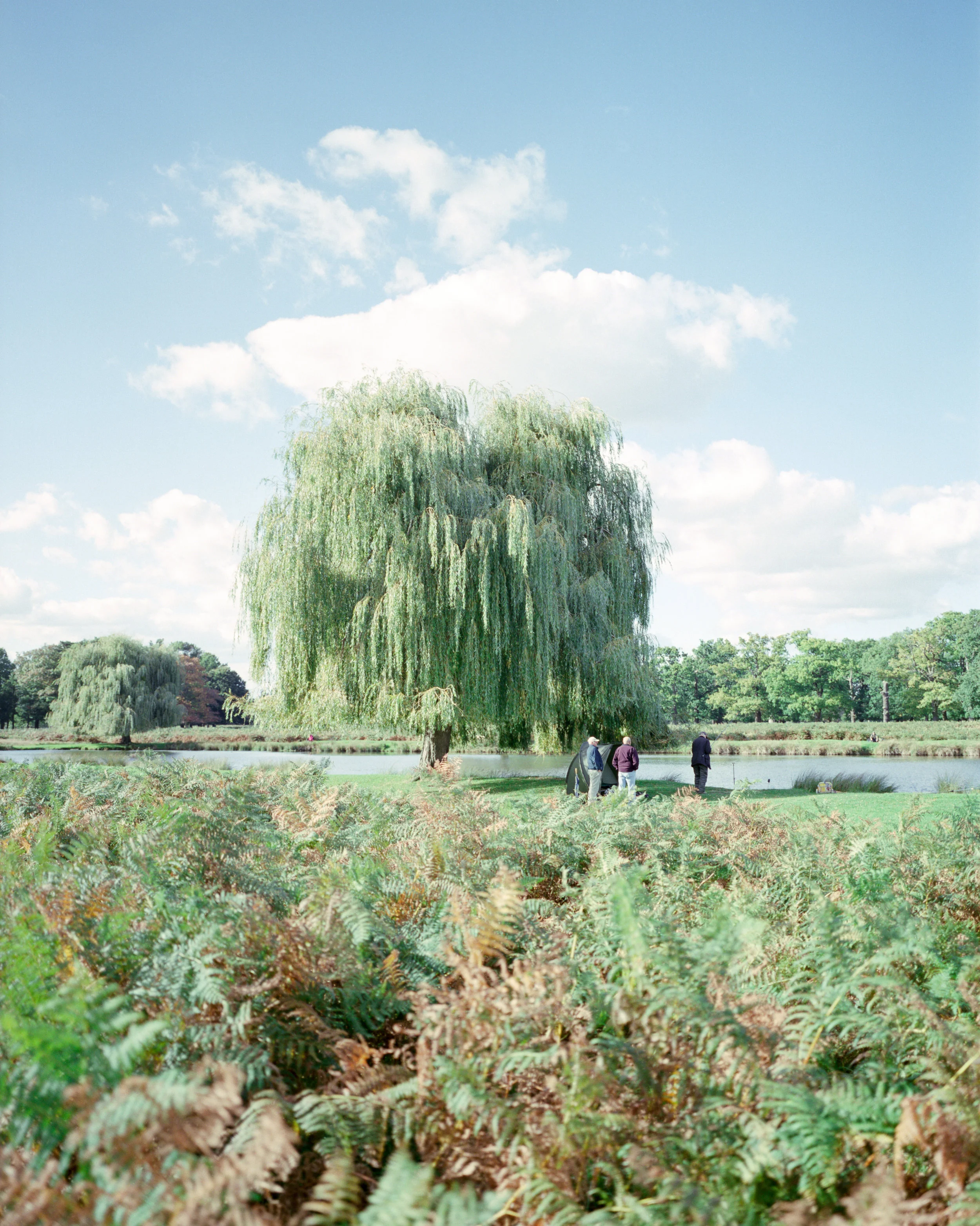 SCN (10)-5.jpg