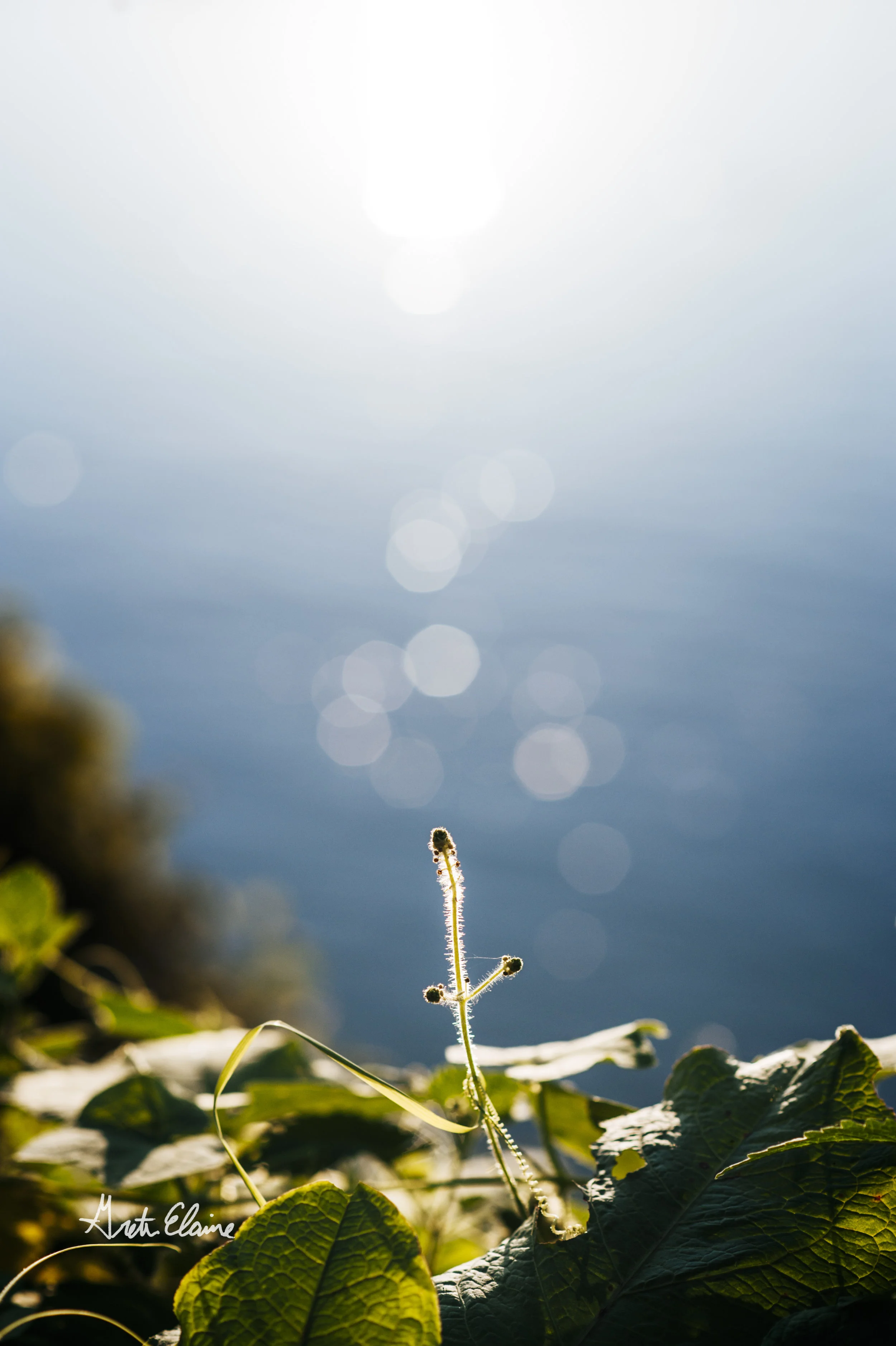 _GEP4751-Edit.jpg
