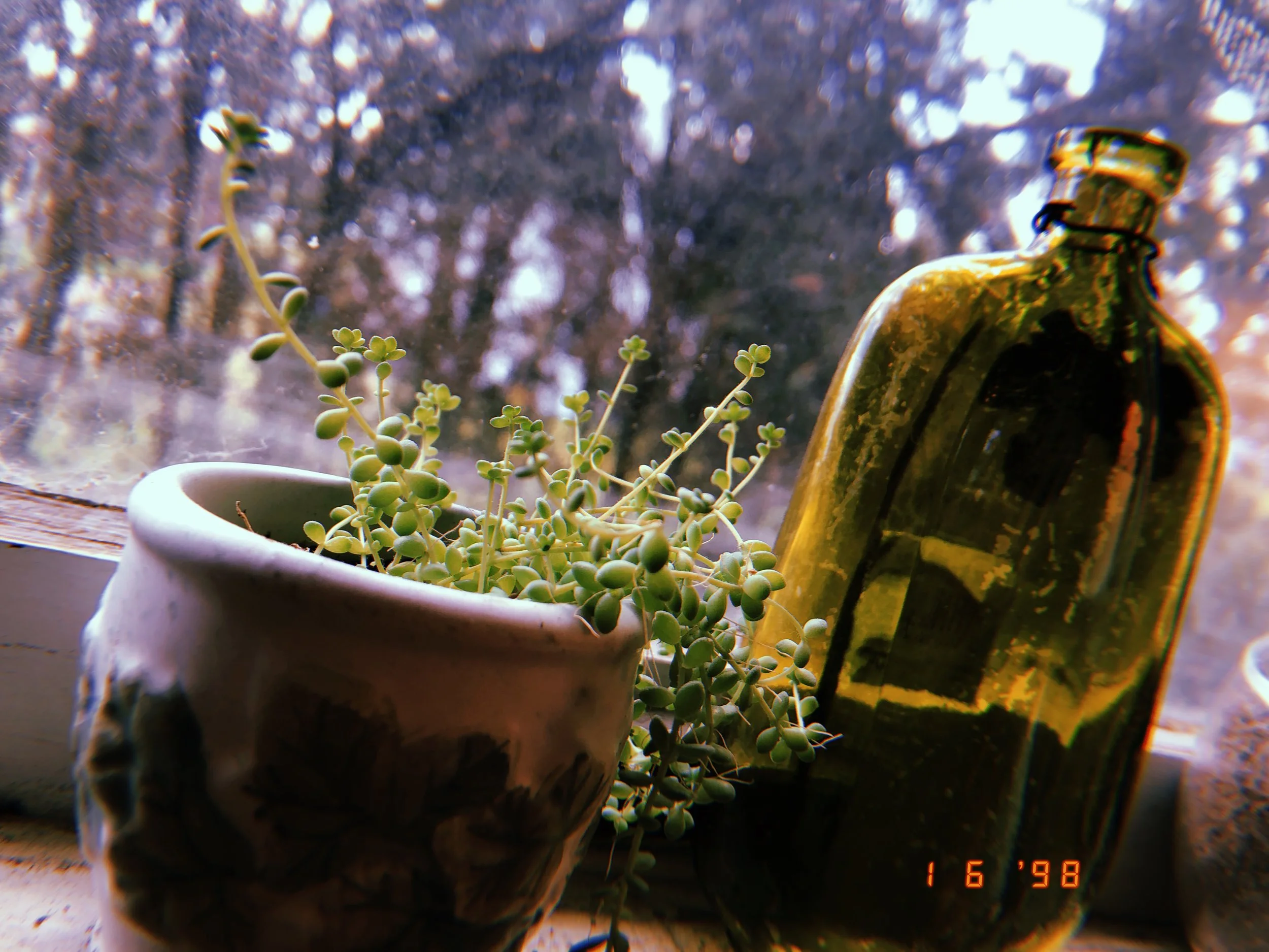 "To Plant A Garden Is To Believe In Tomorrow"