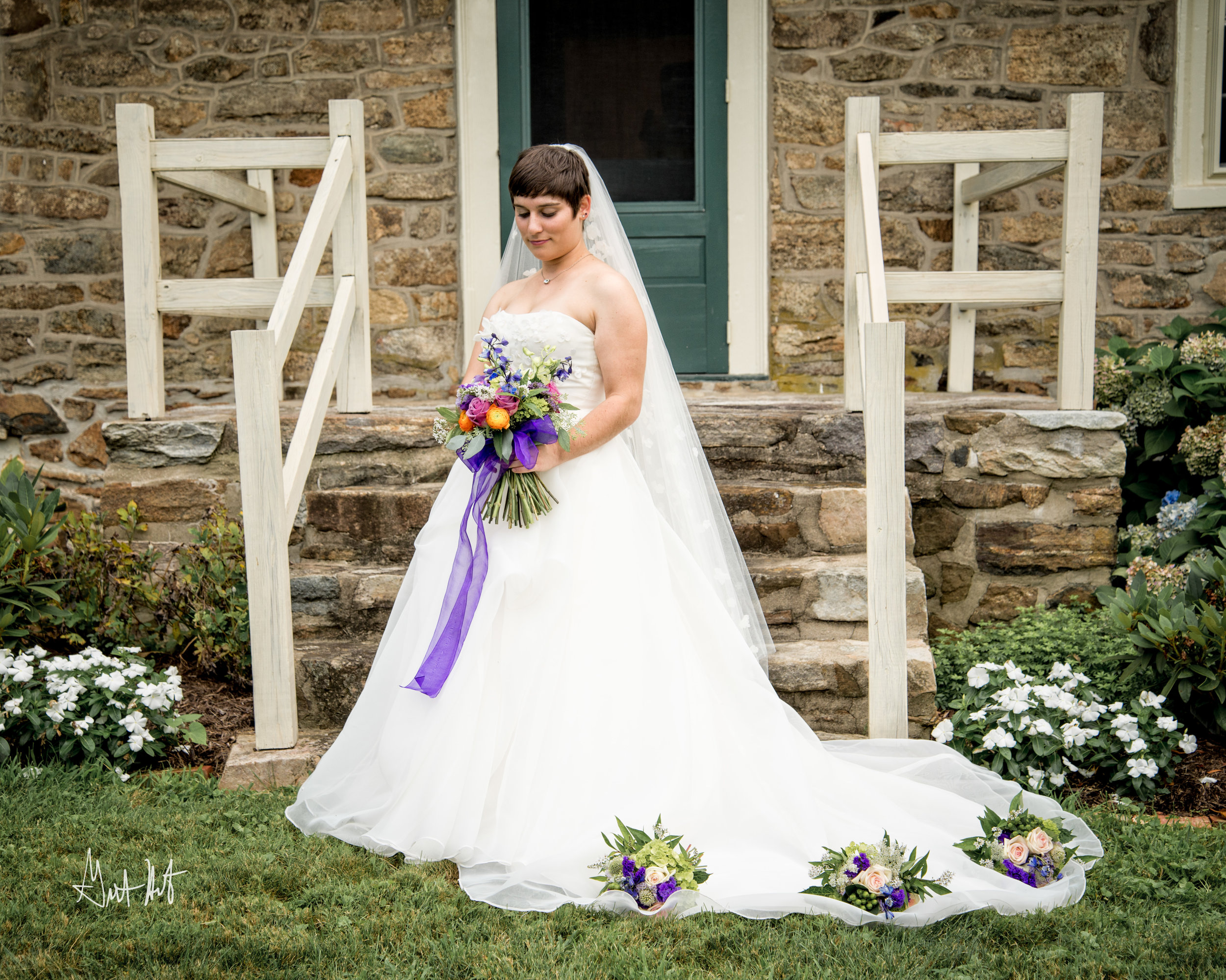 _DSC1862-Edit-Edit.jpg