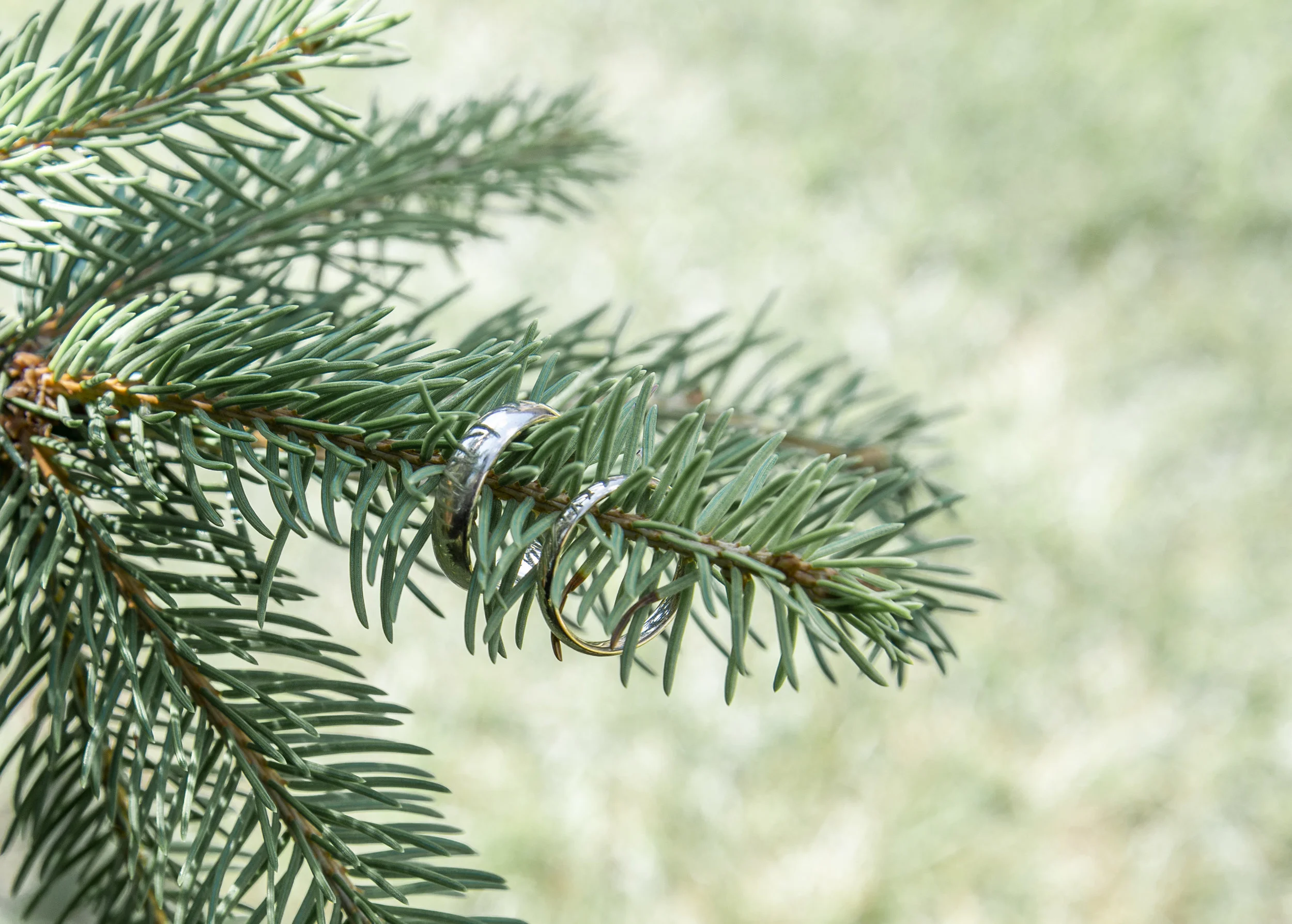 CassellWedding_GEP6752.jpg
